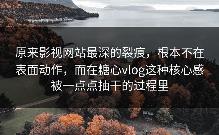 原来影视网站最深的裂痕，根本不在表面动作，而在糖心vlog这种核心感被一点点抽干的过程里