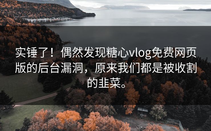 实锤了！偶然发现糖心vlog免费网页版的后台漏洞，原来我们都是被收割的韭菜。